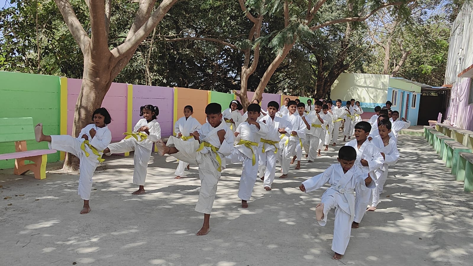 karate Day Celebration's