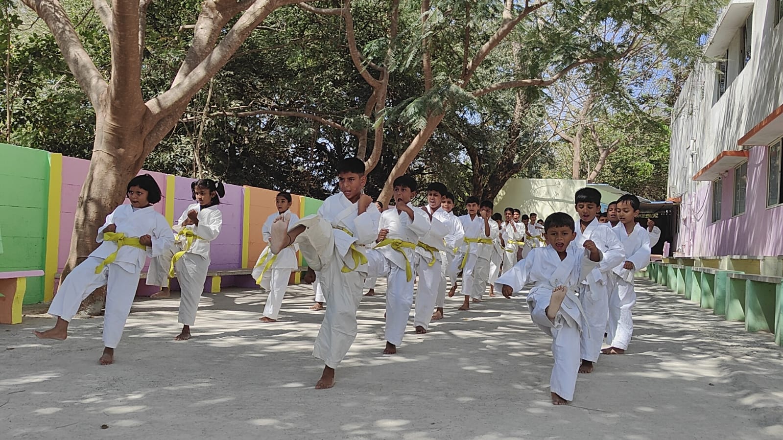 karate Day Celebration's